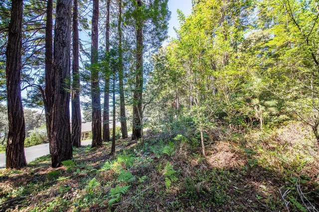 a backyard of a house