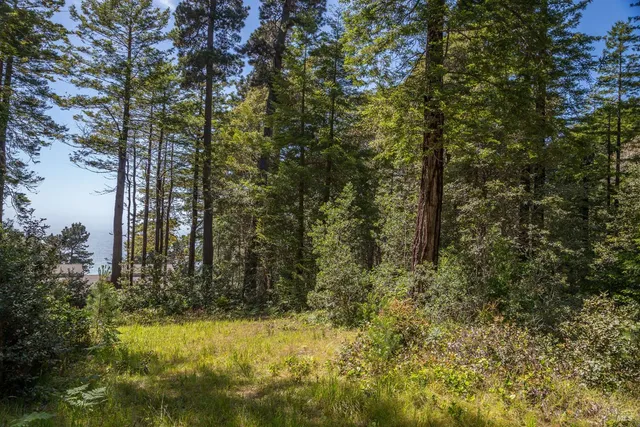 a street view with tall buildings