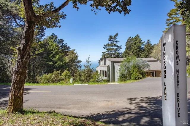 a view of backyard with tree