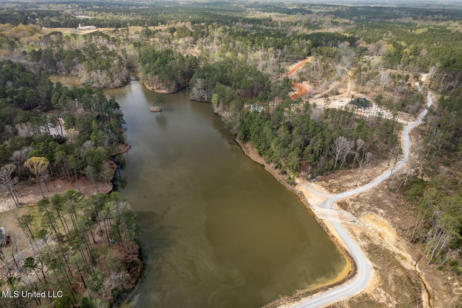 Lot 10 Bridgewater Subdivision Sumrall, MS 39482 - Photo 5 of 6 IMG_0542