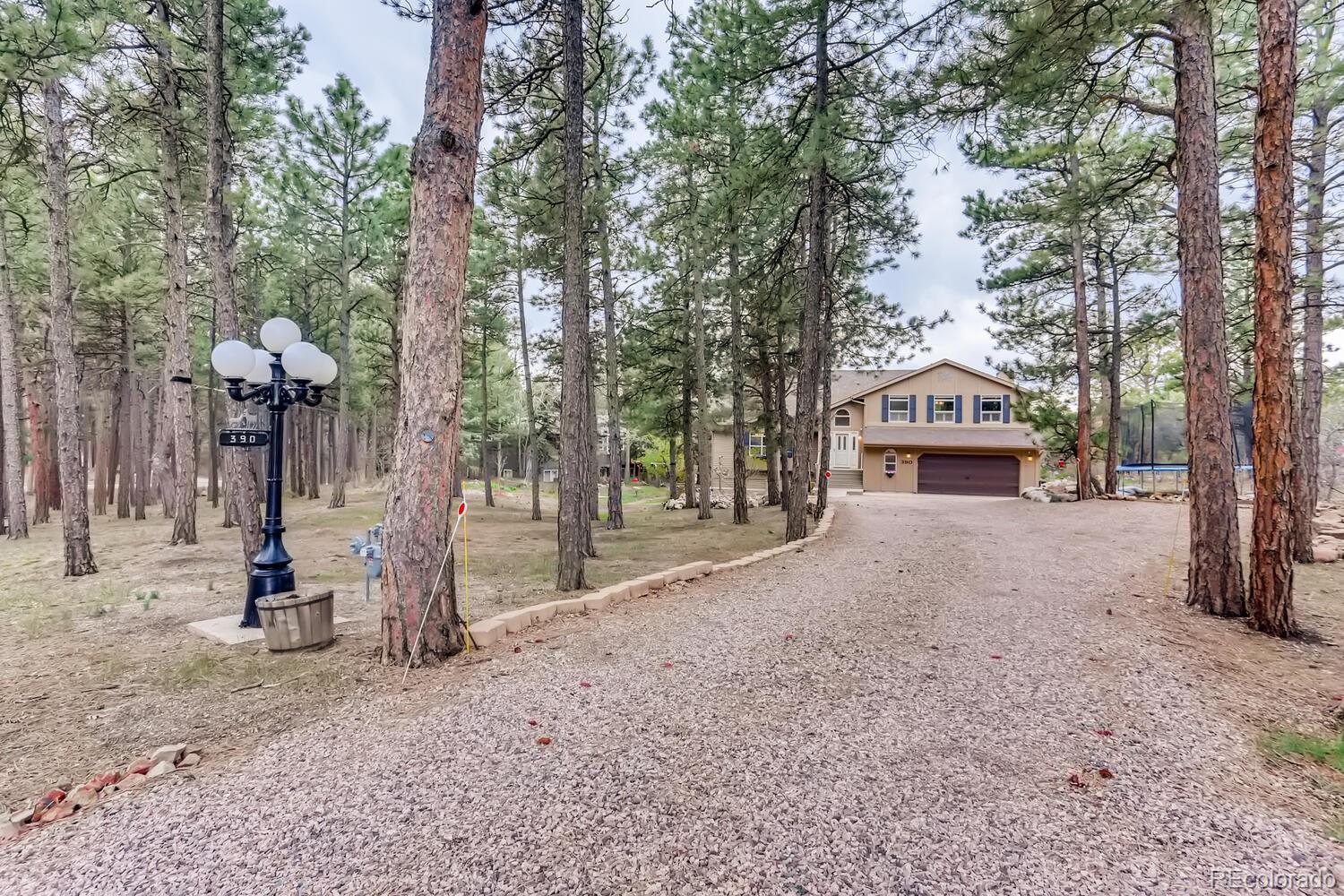 390 Jack Boot Road Monument, CO 80132 - Photo 4 of 40 Gallery Image 4