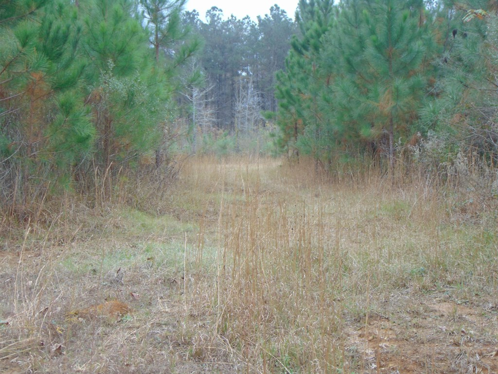 391 Baldwin Loop Northwest Brookhaven, MS 39601 - Photo 13 of 29 Photo 13