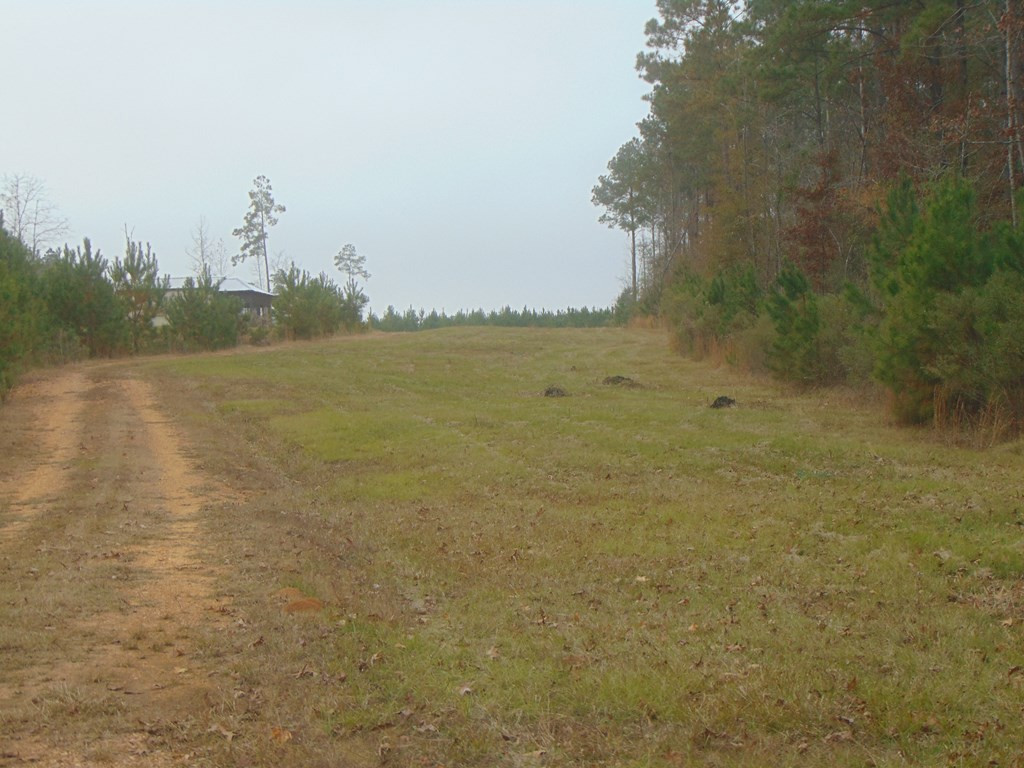 391 Baldwin Loop Northwest Brookhaven, MS 39601 - Photo 5 of 29 Photo 5