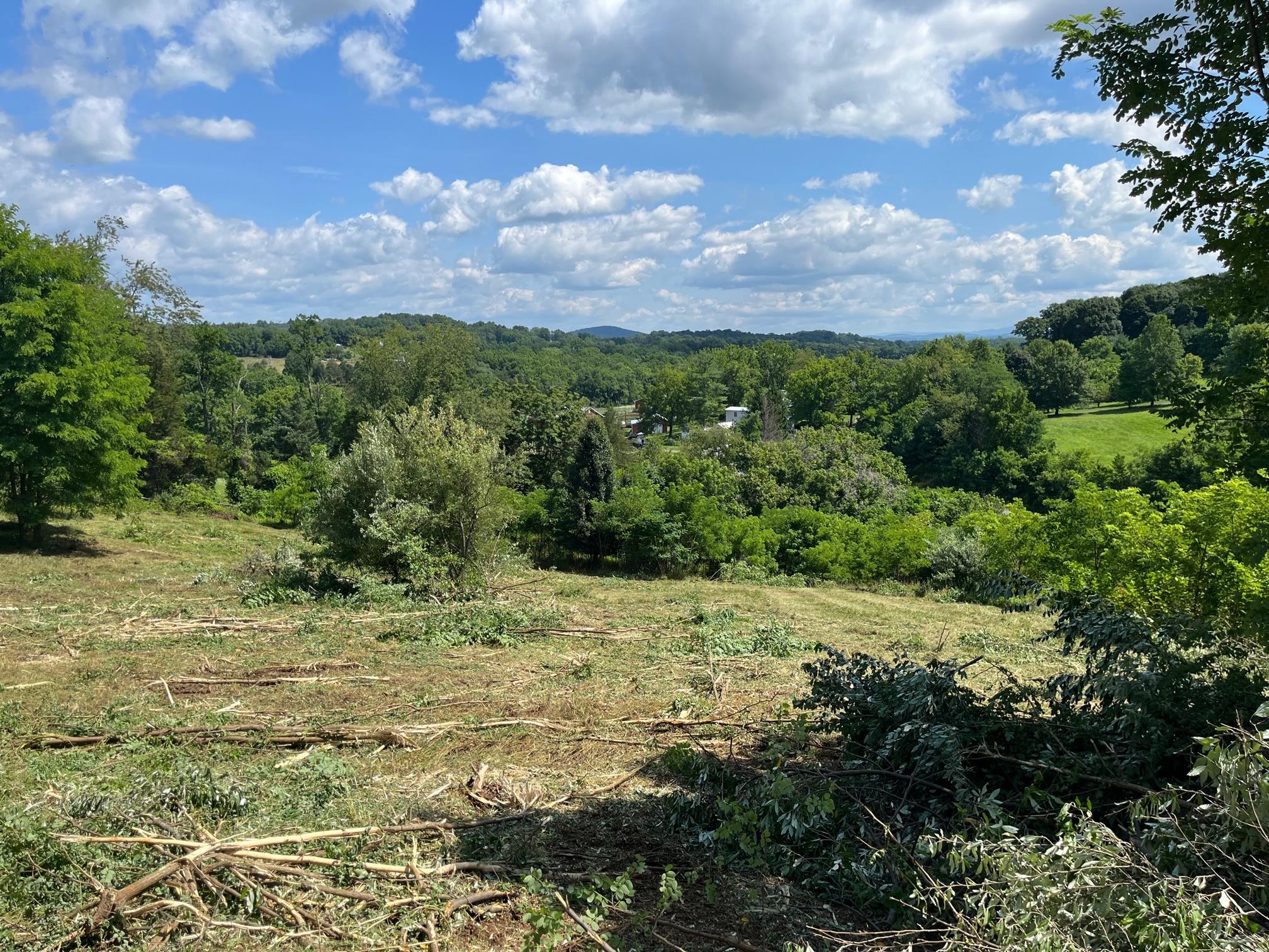 520 Todd Road Mount Sidney, VA 24467 - Photo 1 of 15 a view of a field with a tree