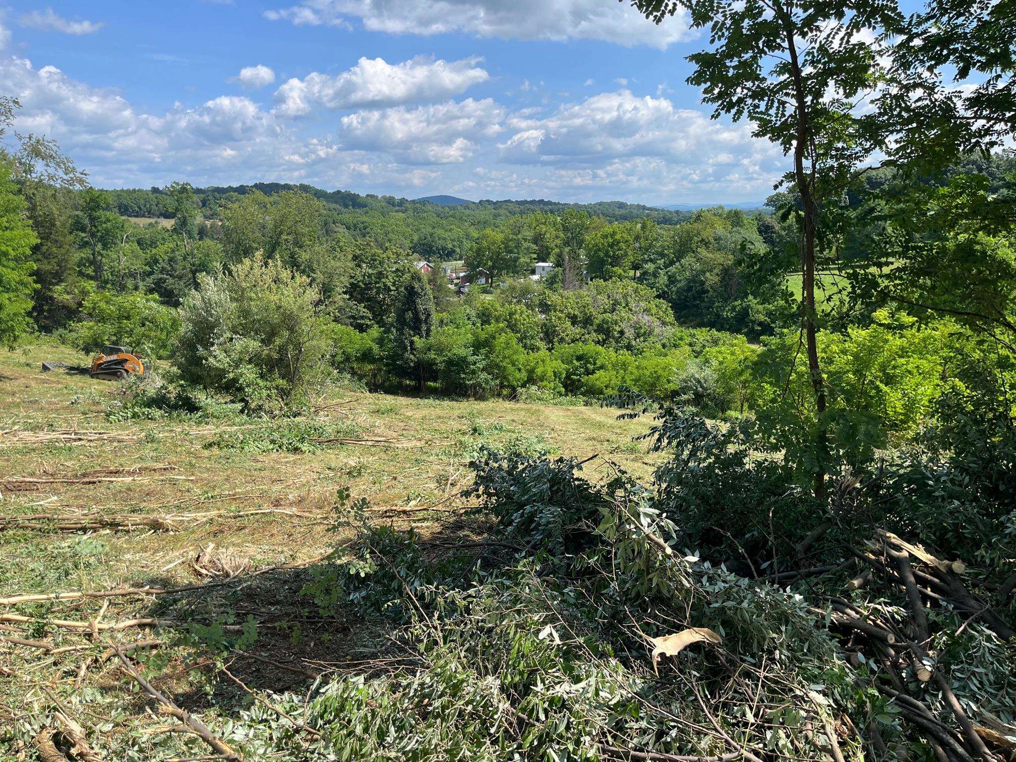 520 Todd Road Mount Sidney, VA 24467 - Photo 2 of 15 a view of a bunch of plants and trees
