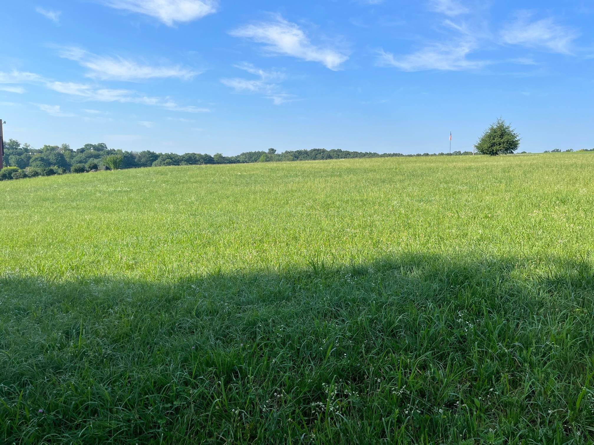 520 Todd Road Mount Sidney, VA 24467 - Photo 4 of 15 a view of an ocean and a yard
