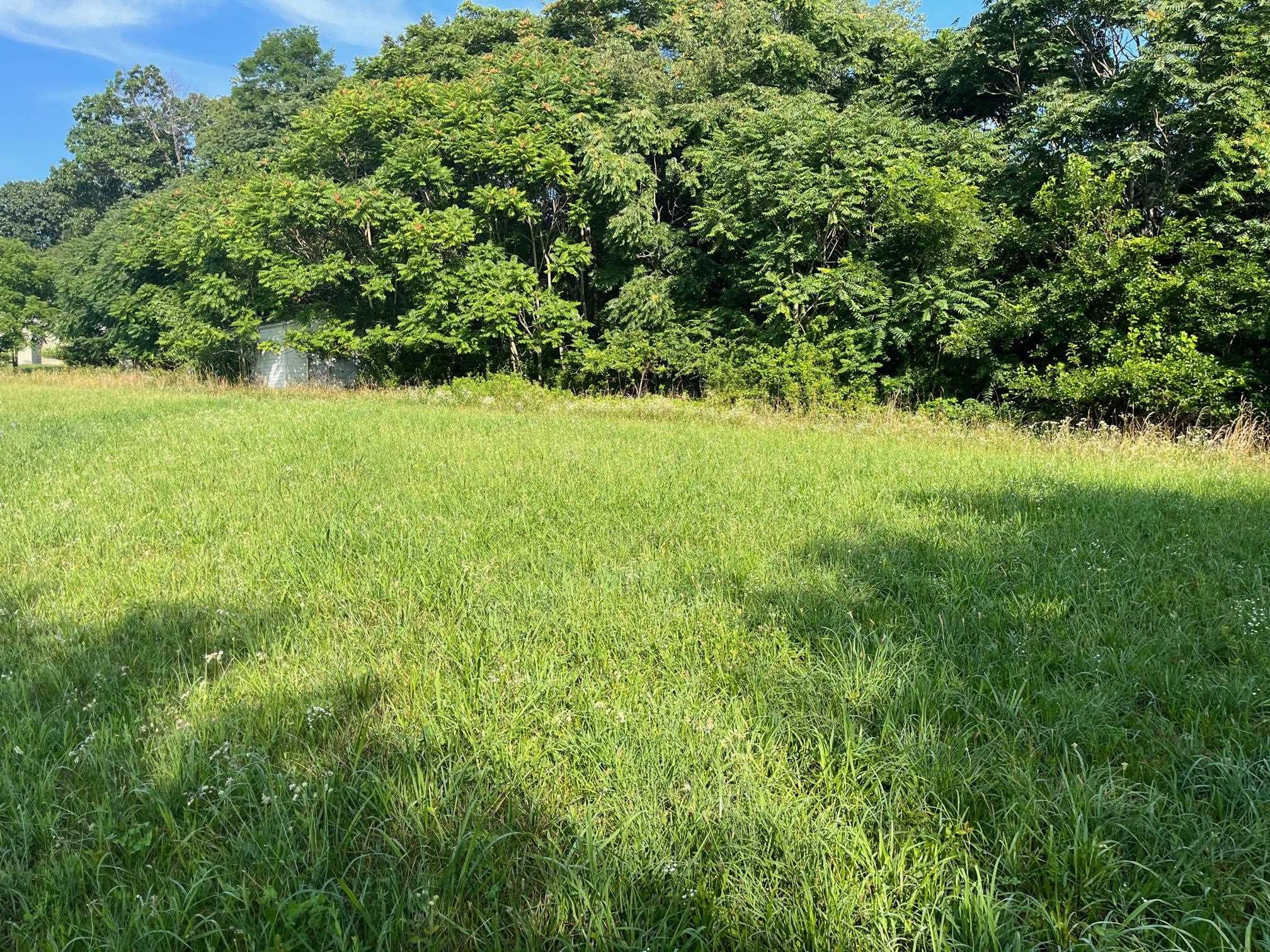 520 Todd Road Mount Sidney, VA 24467 - Photo 5 of 15 a view of yard with green space