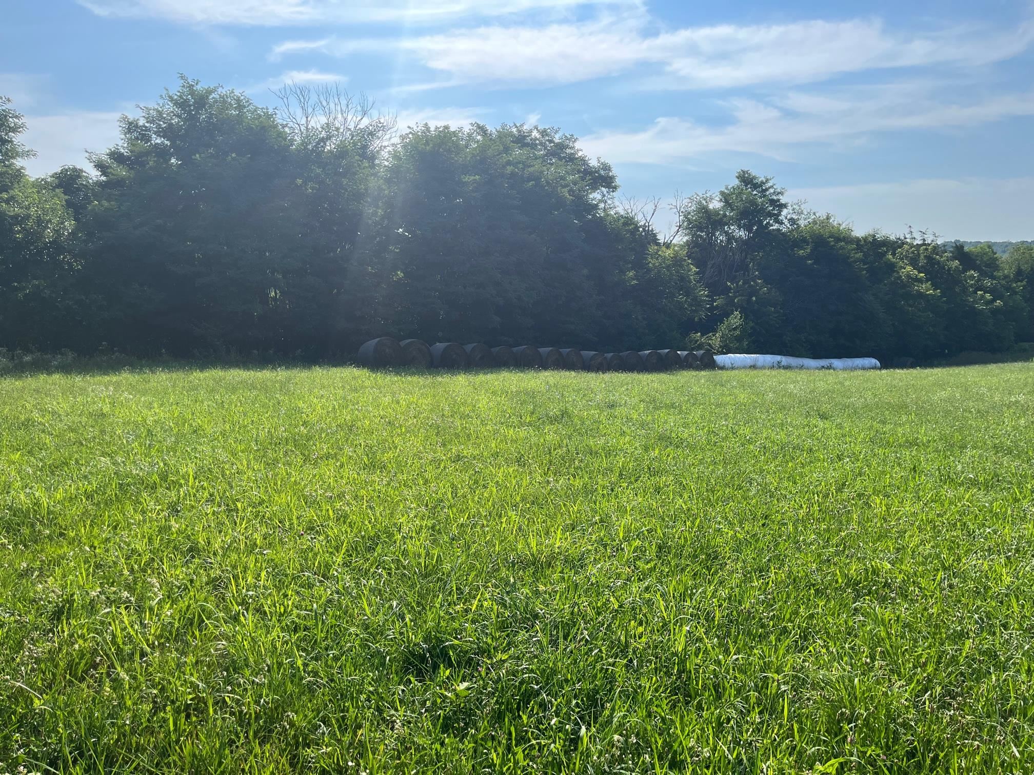 520 Todd Road Mount Sidney, VA 24467 - Photo 6 of 15 a view of an outdoor space and a yard