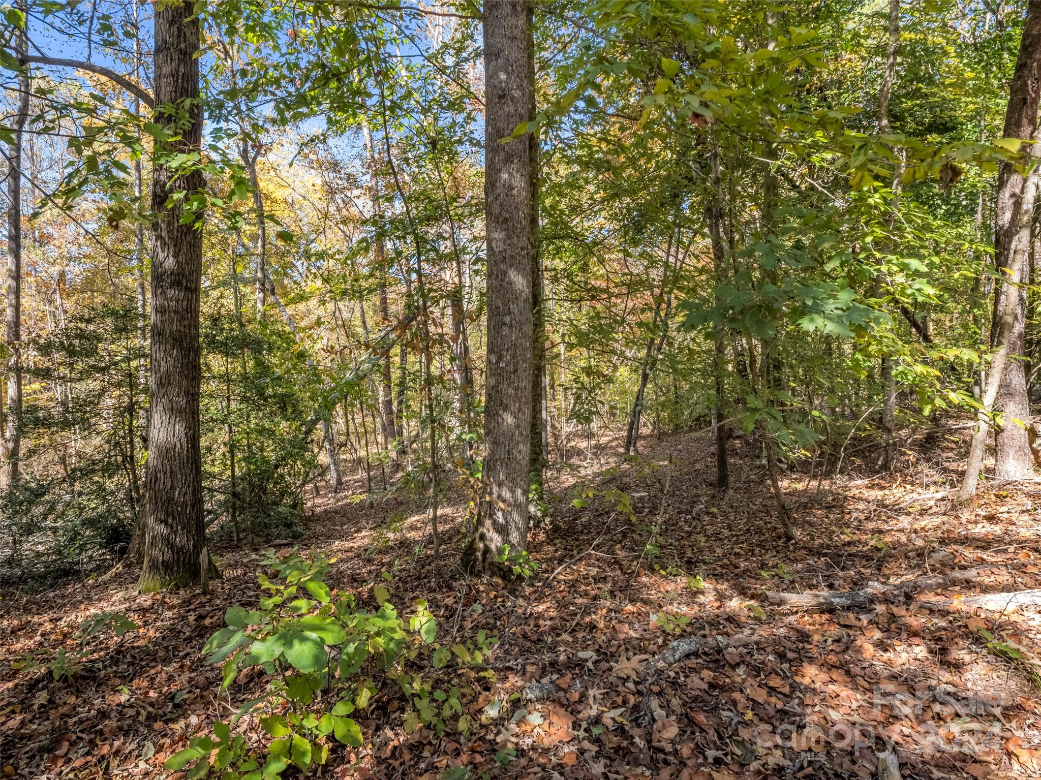 0 Thermal City Road Union Mills, NC 28167 - Photo 38 of 48