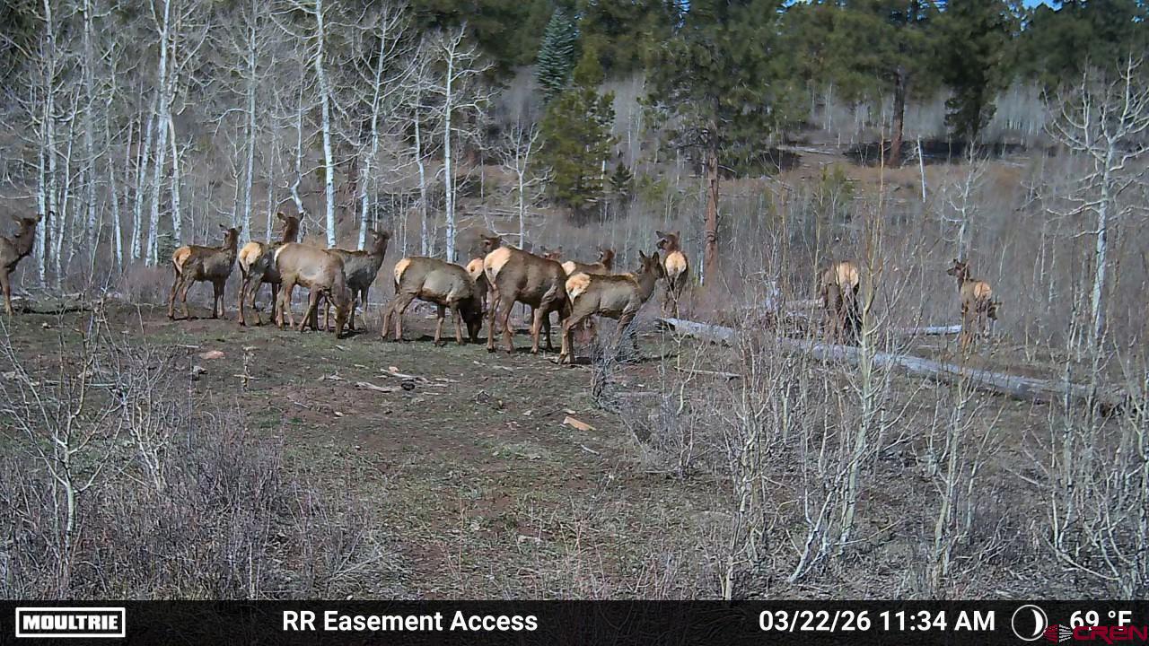 44500 Ditches Road Mancos, CO 81328 - Photo 8 of 31 Gallery Image 8