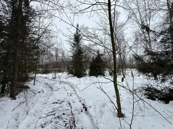 $80,000 | Tbd #4 Koecher Road, Kerrick, MN 55756