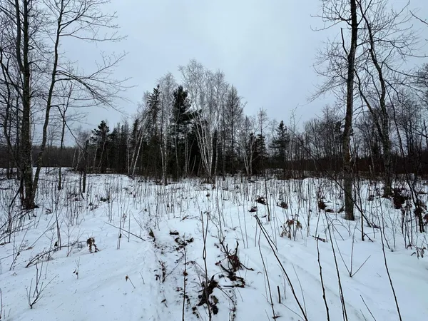 $80,000 | Tbd #4 Koecher Road, Kerrick, MN 55756