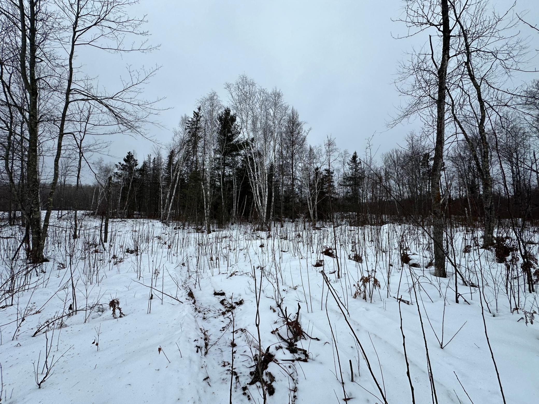 Tbd #4 Koecher Road Kerrick, MN 55756 - Photo 3 of 13