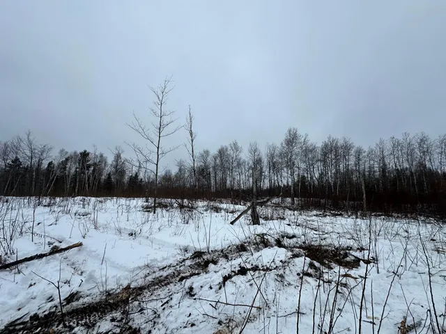 $80,000 | Tbd #4 Koecher Road, Kerrick, MN 55756