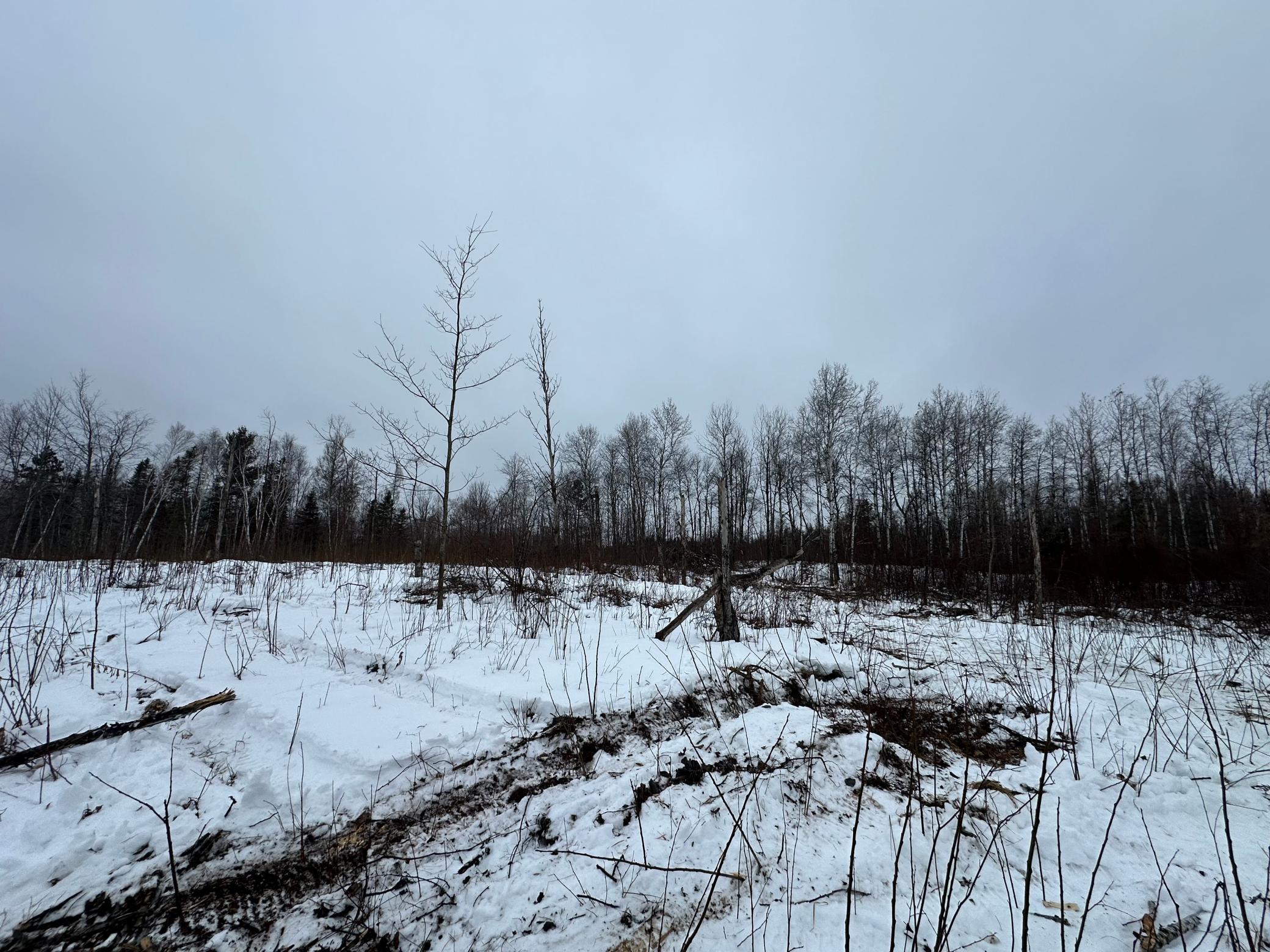 Tbd #4 Koecher Road Kerrick, MN 55756 - Photo 4 of 13