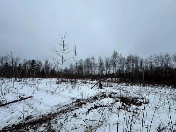 $80,000 | Tbd #4 Koecher Road, Kerrick, MN 55756