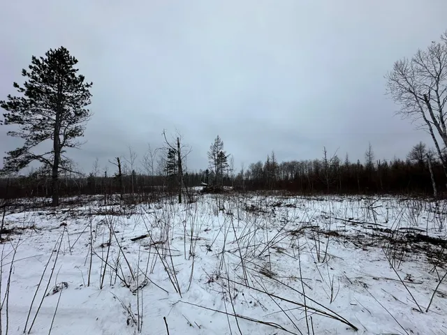 $80,000 | Tbd #4 Koecher Road, Kerrick, MN 55756