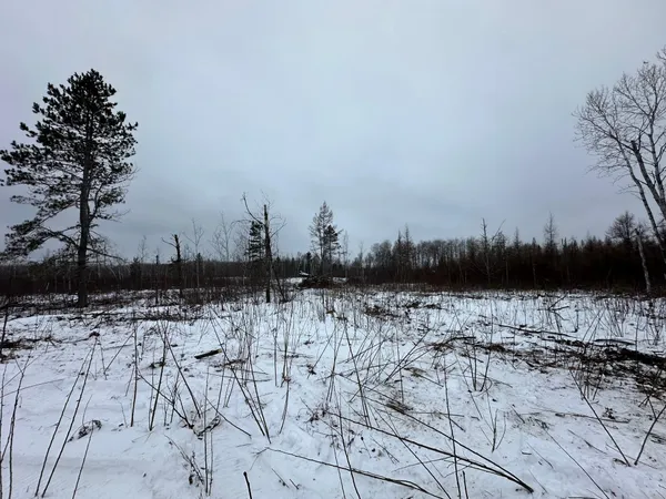 $80,000 | Tbd #4 Koecher Road, Kerrick, MN 55756