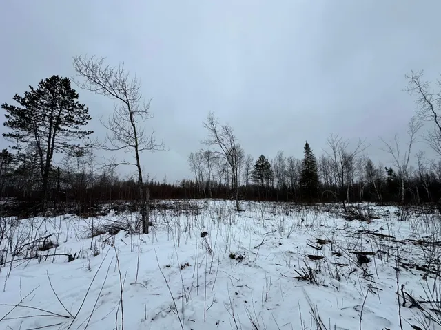 $80,000 | Tbd #4 Koecher Road, Kerrick, MN 55756