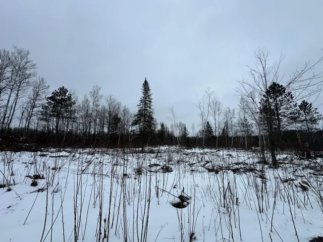 $80,000 | Tbd #4 Koecher Road, Kerrick, MN 55756