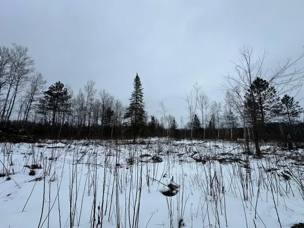 $80,000 | Tbd #4 Koecher Road, Kerrick, MN 55756