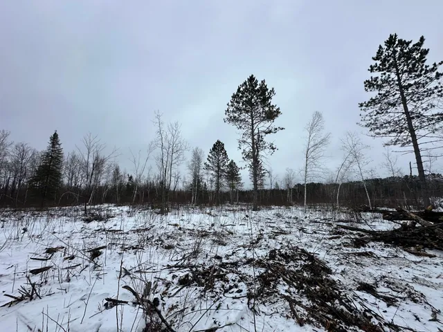 $80,000 | Tbd #4 Koecher Road, Kerrick, MN 55756