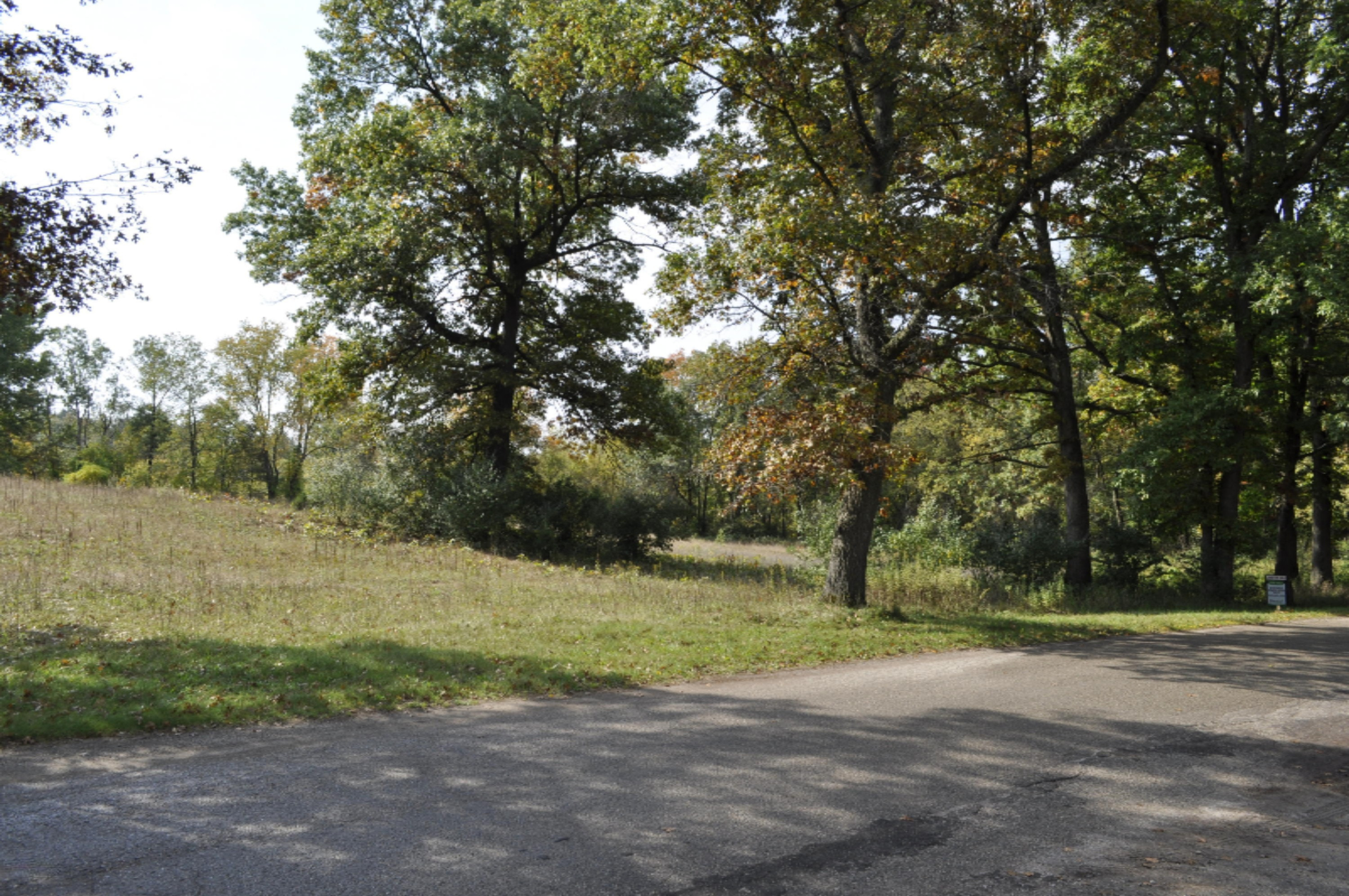 1 North State Road Belding, MI 48809 - Photo 2 of 3 _DSC0009