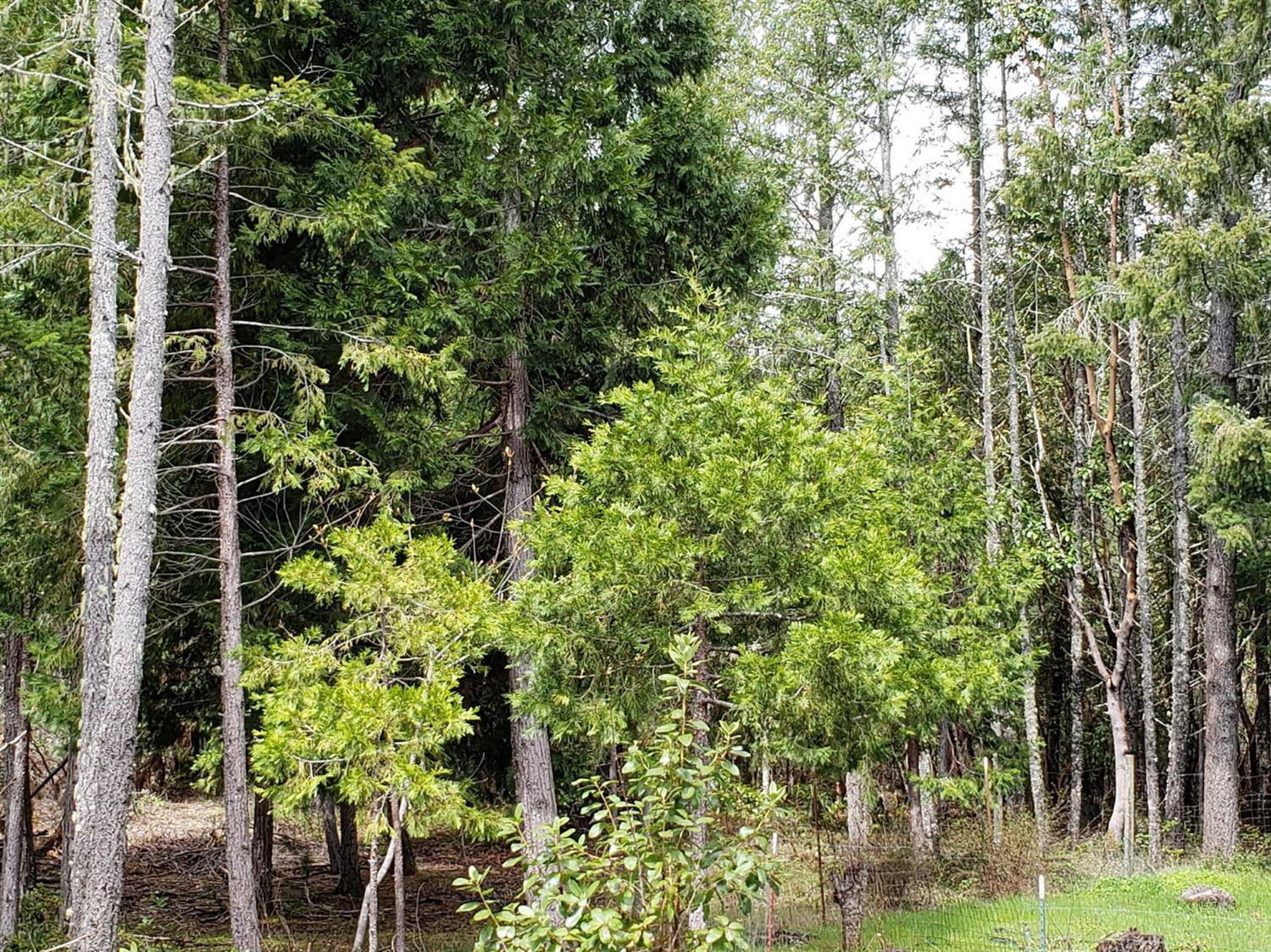 2000 Thompson Creek Road Selma, OR 97538 - Photo 5 of 6 Additional Photo