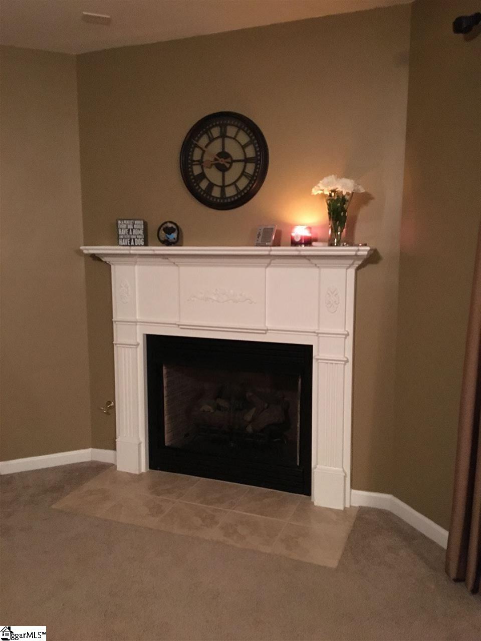 102 Tigris Way Greenville, SC 29607 - Photo 15 of 32 Fireplace
