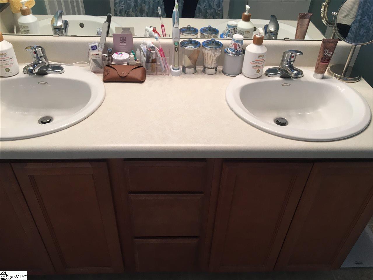 102 Tigris Way Greenville, SC 29607 - Photo 19 of 32 Double Vanity in Master Bath