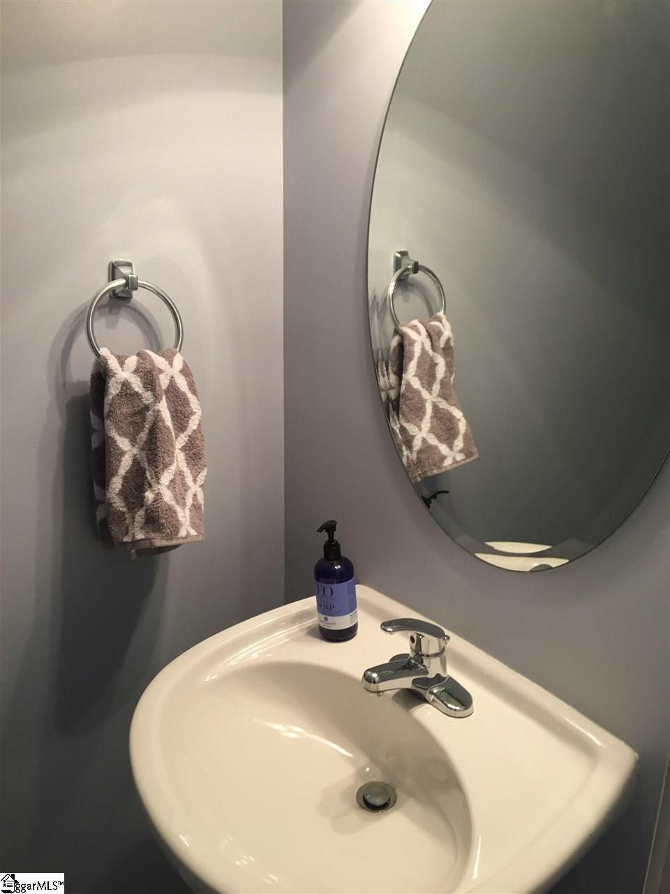 102 Tigris Way Greenville, SC 29607 - Photo 6 of 32 Half Bathroom on Main Floor