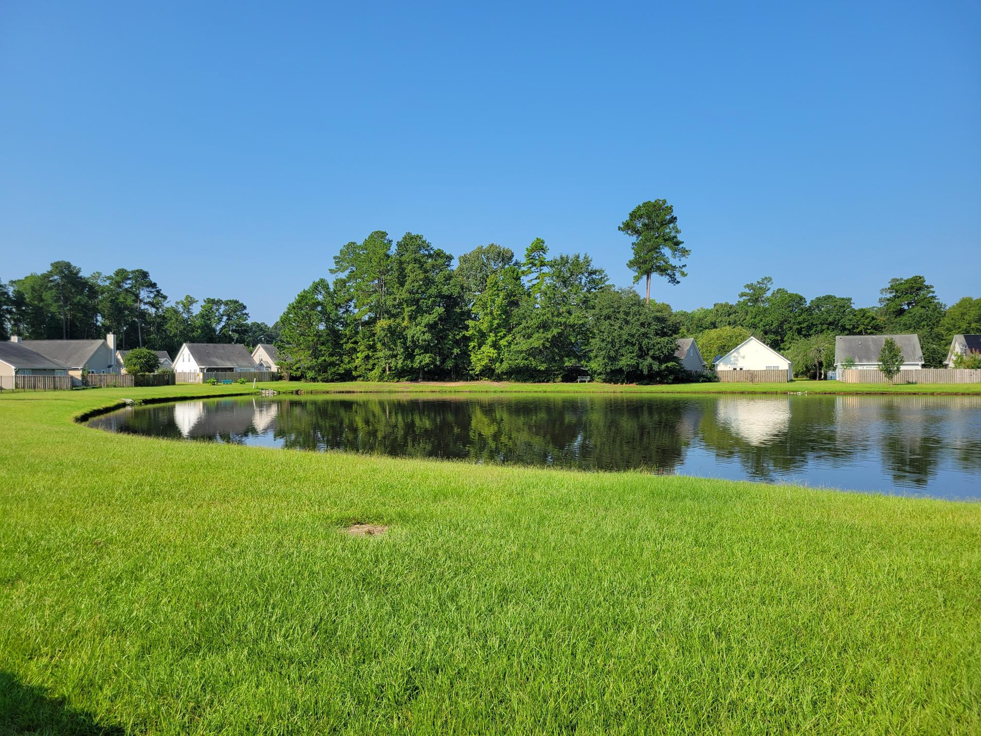 9289 Ayscough Road Summerville, SC 29485 - Photo 23 of 34 Pond with wooded buffer