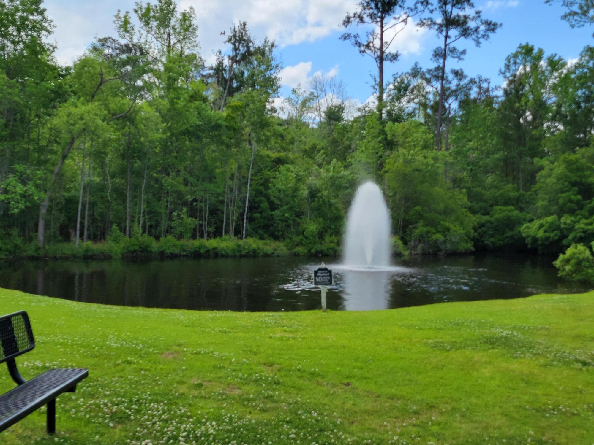 9289 Ayscough Road Summerville, SC 29485 - Photo 29 of 34 fountainn to enjoy by playpark