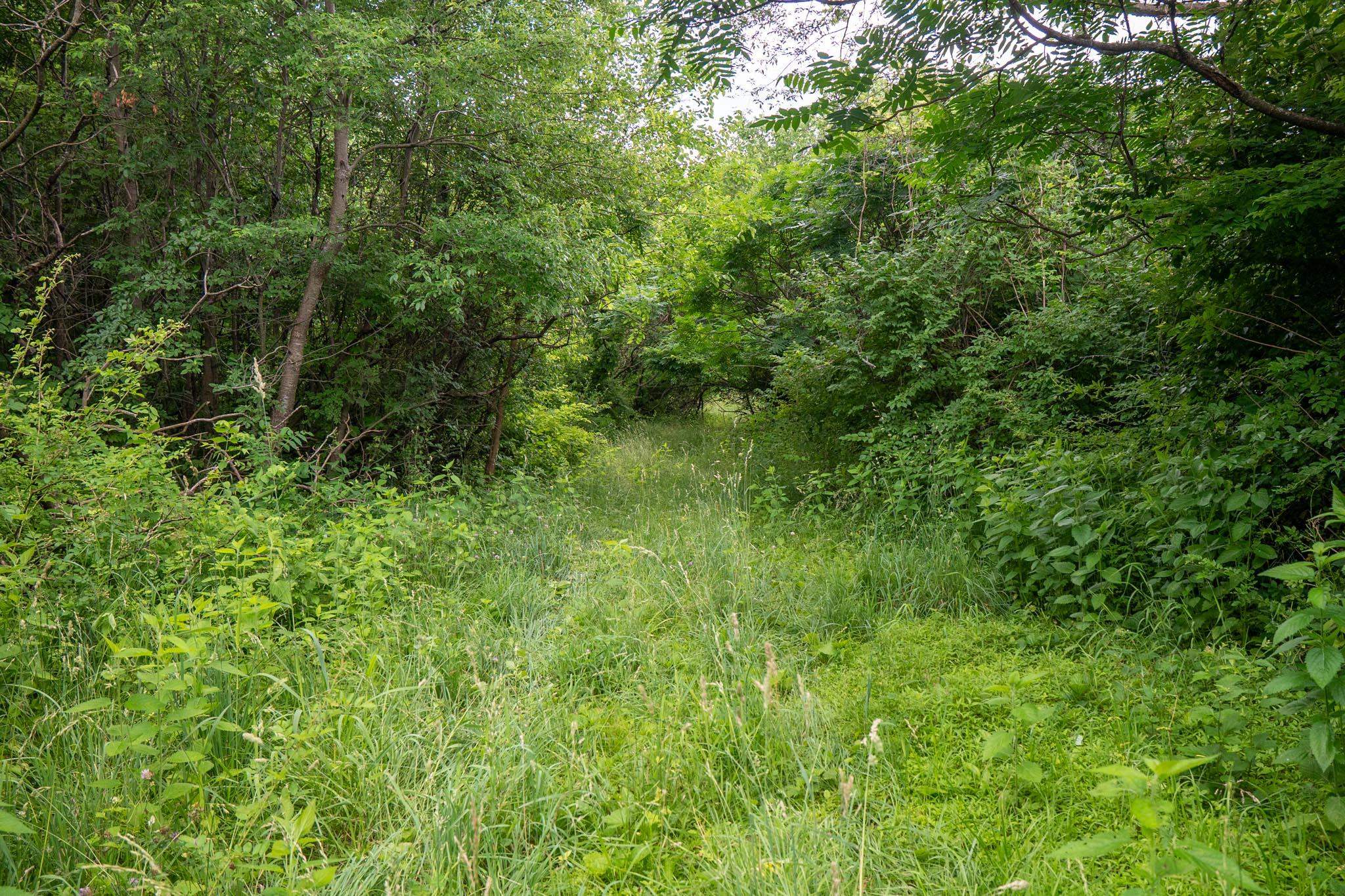 13682 East State Line Road Durand, IL 61024 - Photo 9 of 68