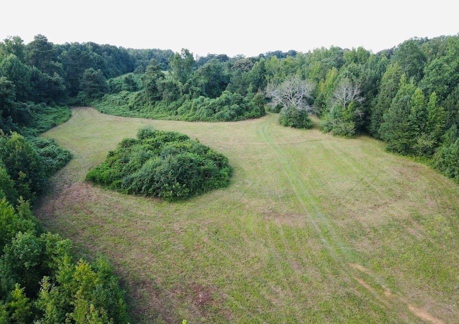 633 Duncan Road Carrollton, GA 30116 - Photo 4 of 15