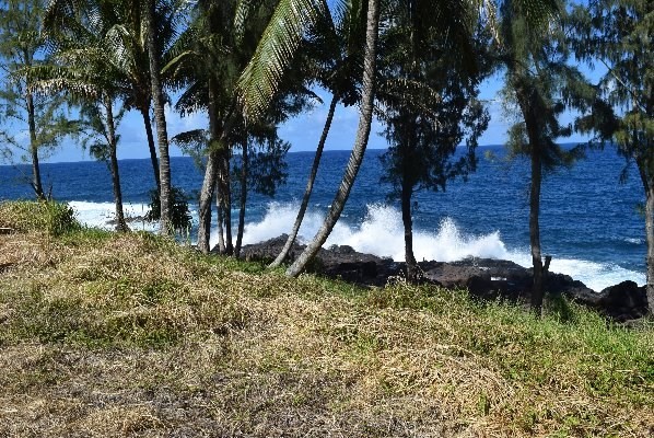 24 Lot Pepeekeo, HI 96783 - Photo 12 of 18