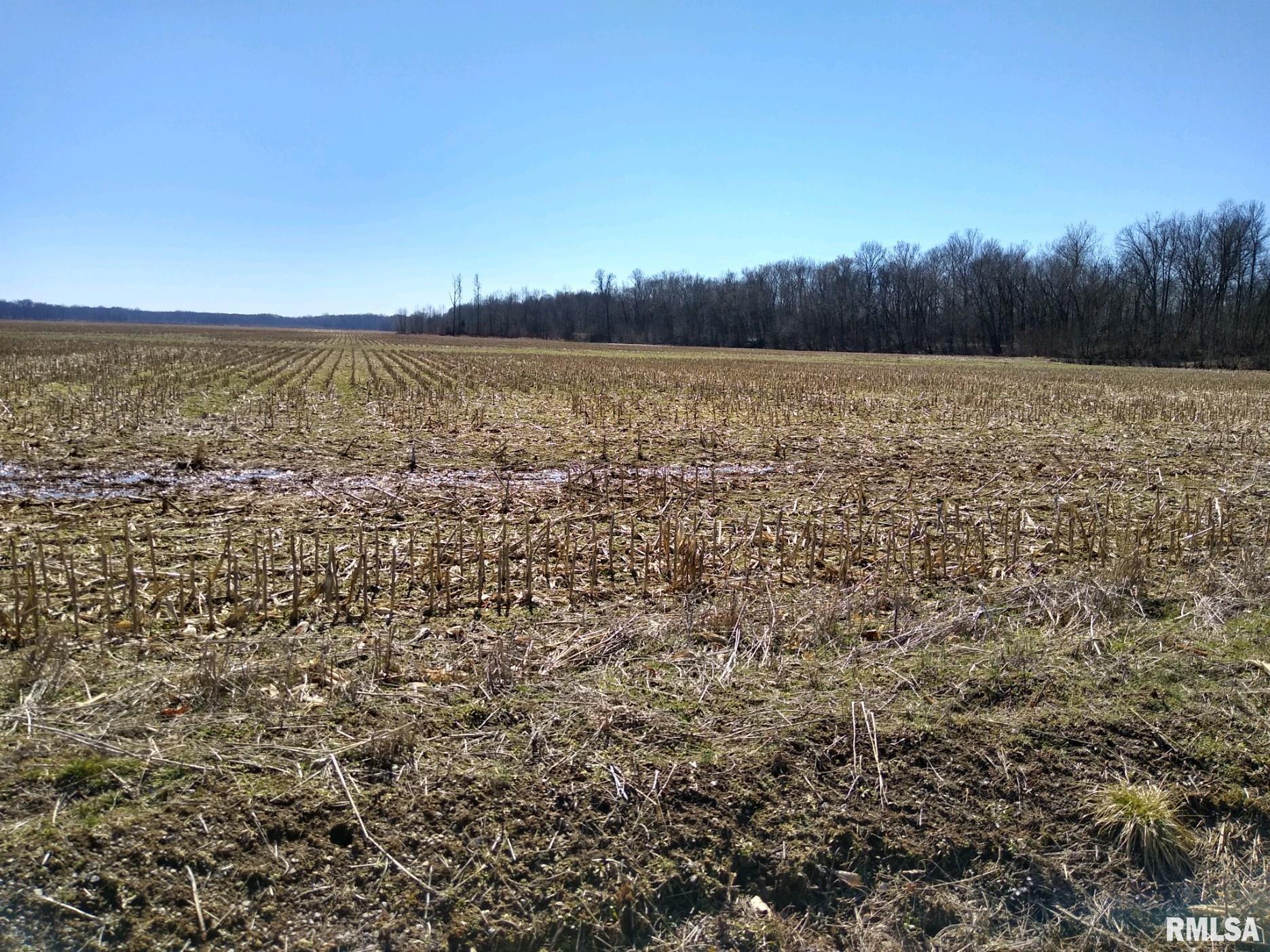 0 Allen Road Buncombe, IL 62912 - Photo 1 of 10