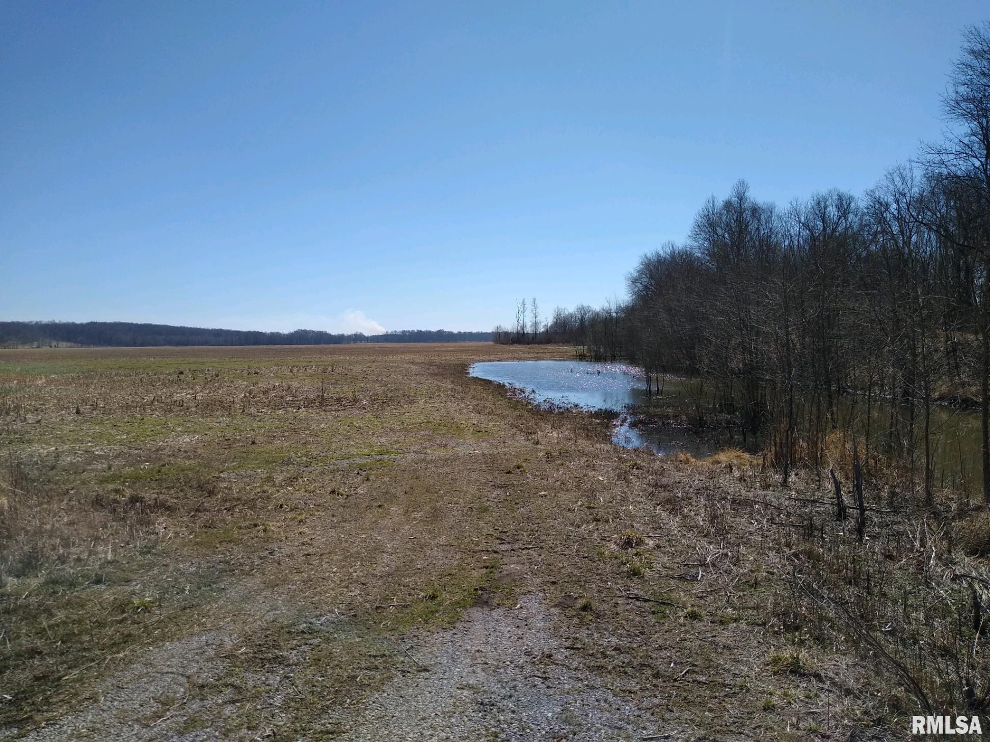 0 Allen Road Buncombe, IL 62912 - Photo 3 of 10