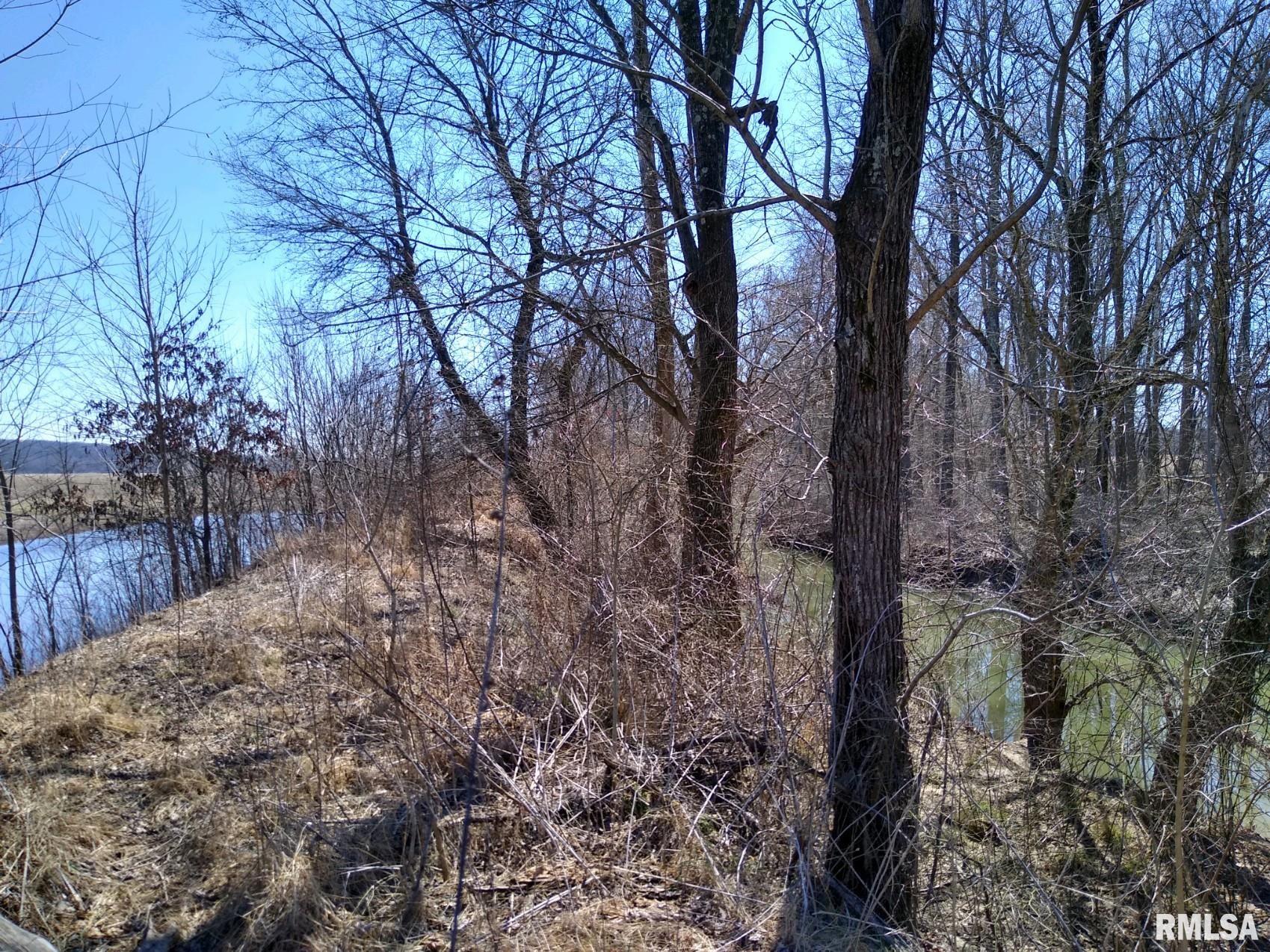 0 Allen Road Buncombe, IL 62912 - Photo 6 of 10