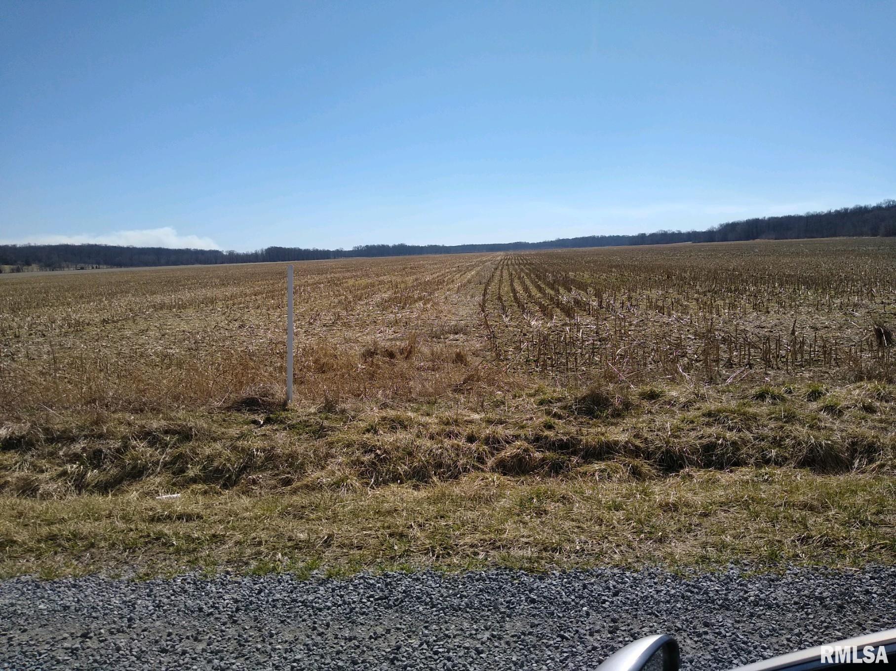 0 Allen Road Buncombe, IL 62912 - Photo 8 of 10