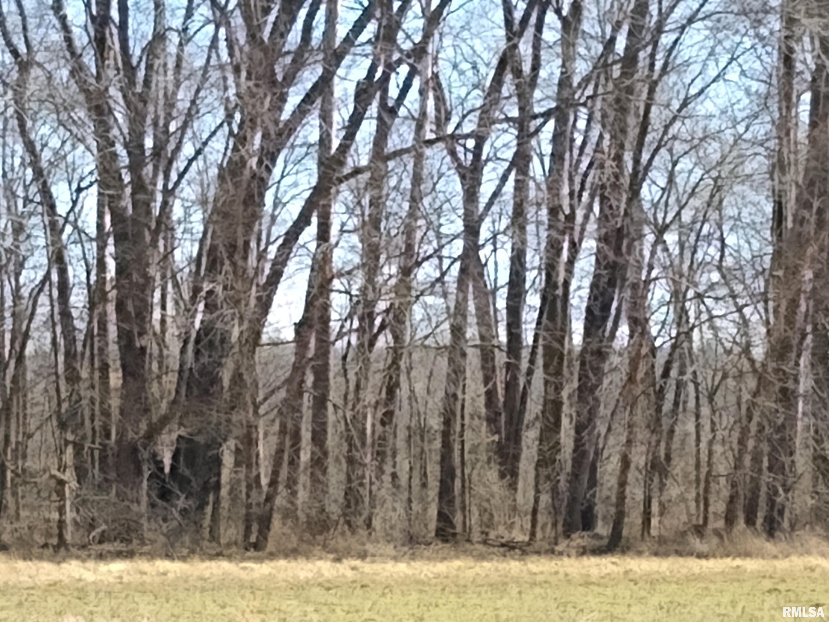 0 Allen Road Buncombe, IL 62912 - Photo 10 of 10