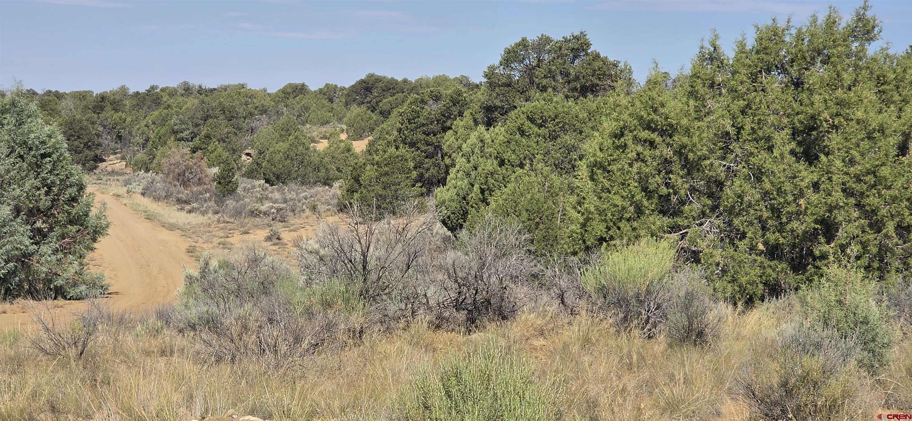 310 Ignacio Co 81137 Ignacio, CO 81137 - Photo 24 of 25