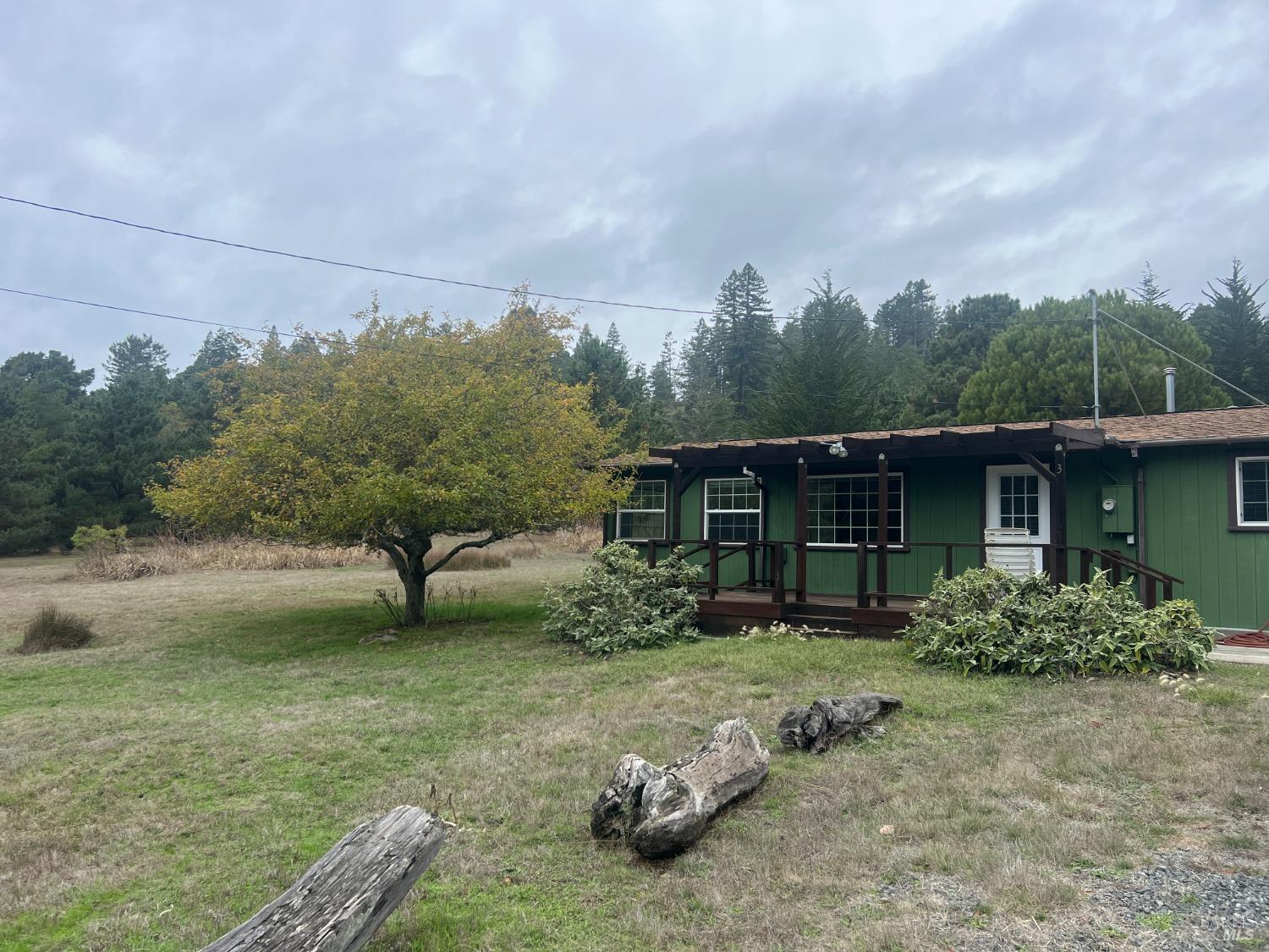 46300 Fish Rock Road Gualala, CA 95445 - Photo 1 of 1 a backyard of a house with lots of green space