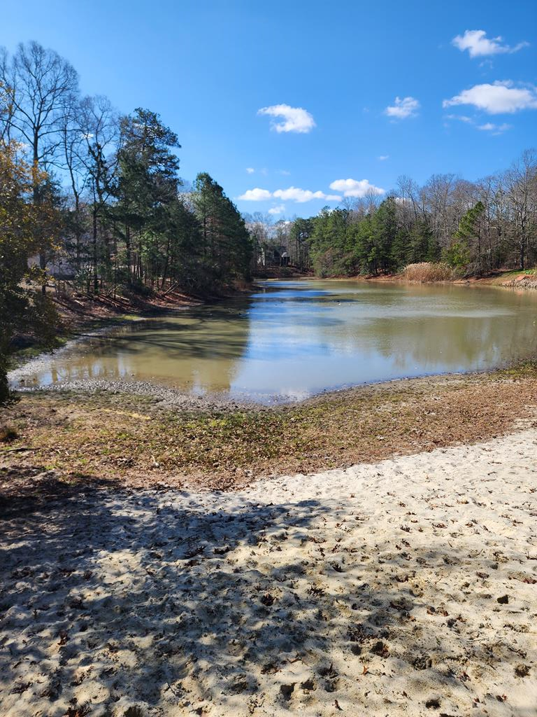 Lot 1867 Seahorse Road, Unit 1867 Greenbackville, VA 23356 - Photo 3 of 3