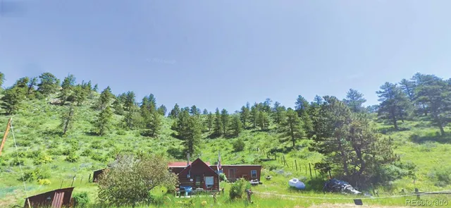 a view of a big yard with plants and large trees