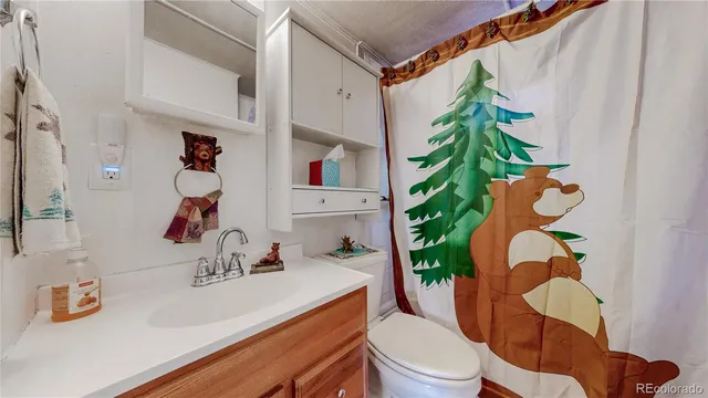 a bathroom with a sink toilet and mirror