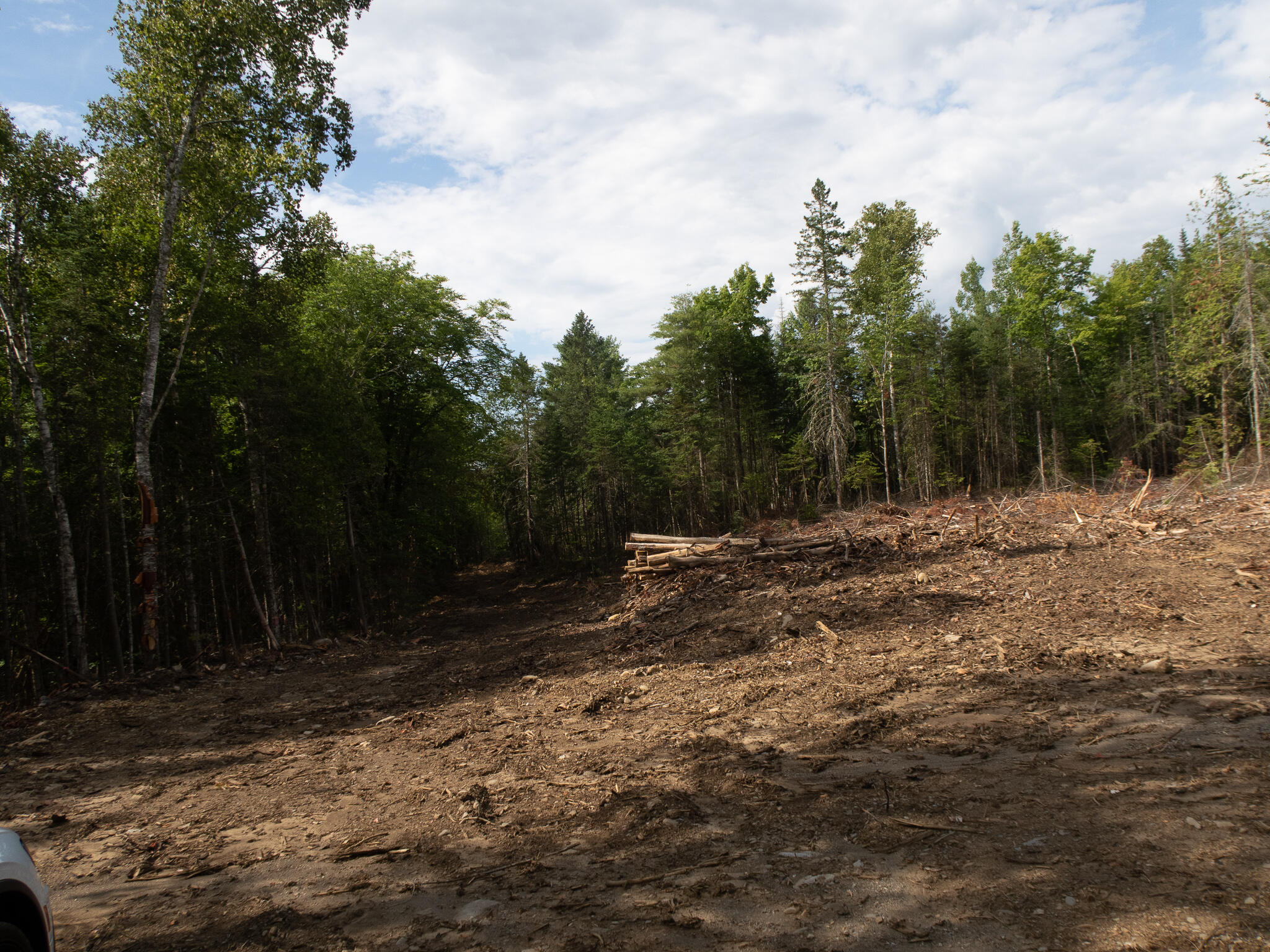 163 East Gulch Road Thorndike, ME 04986 - Photo 14 of 19 IMG_2180