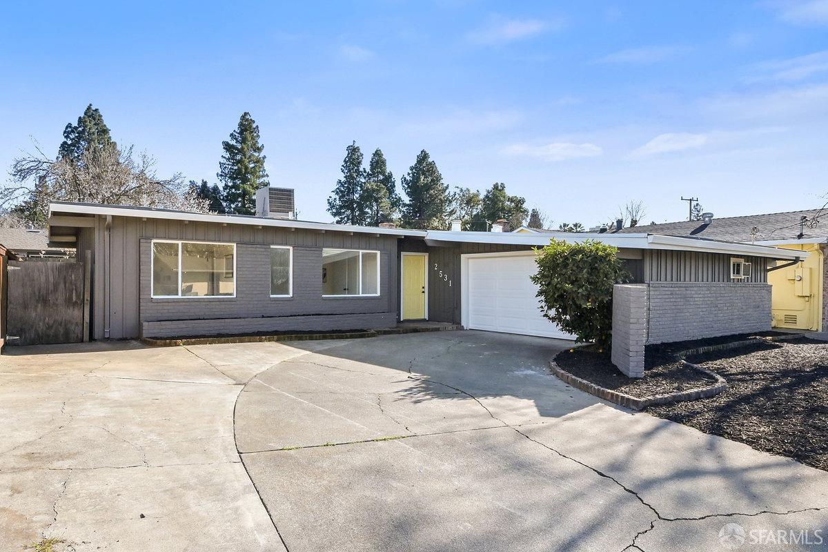 a view of a backyard with plants and a tree