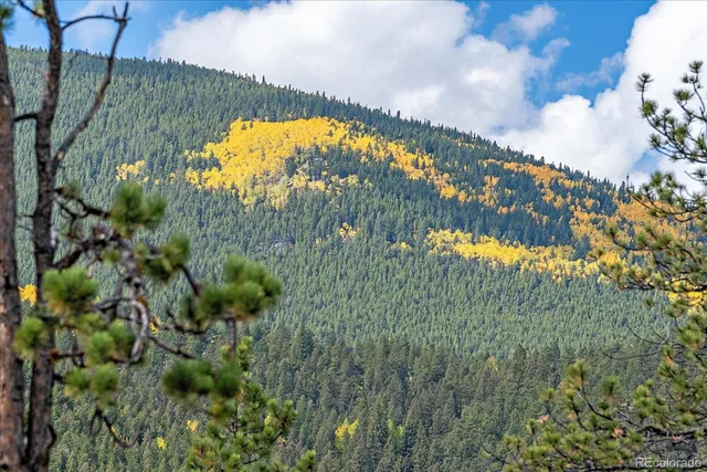 a view of swimming pool from a lake