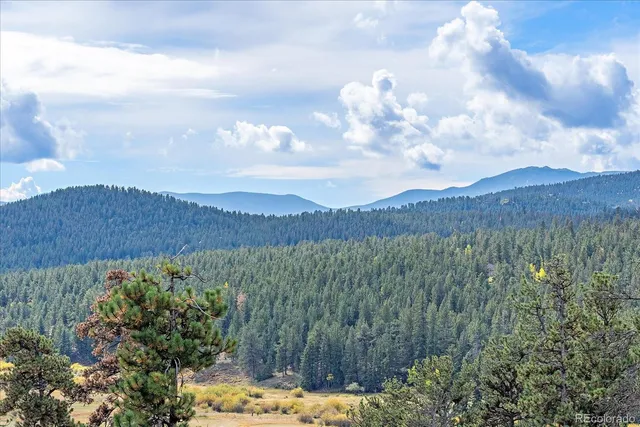 a view of a lake in middle of forest
